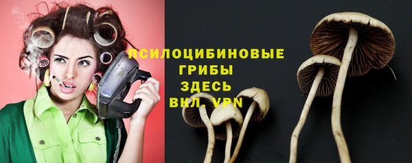 МДПВ Няндома