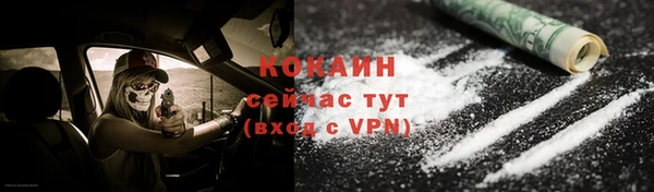 МДПВ Няндома