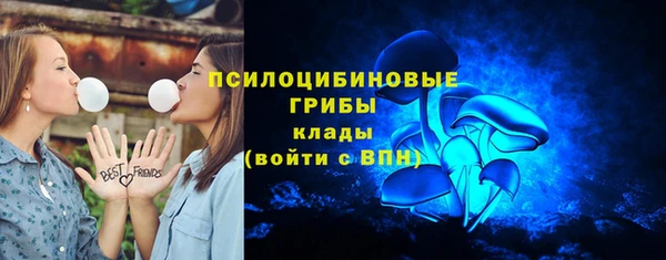 МДПВ Няндома